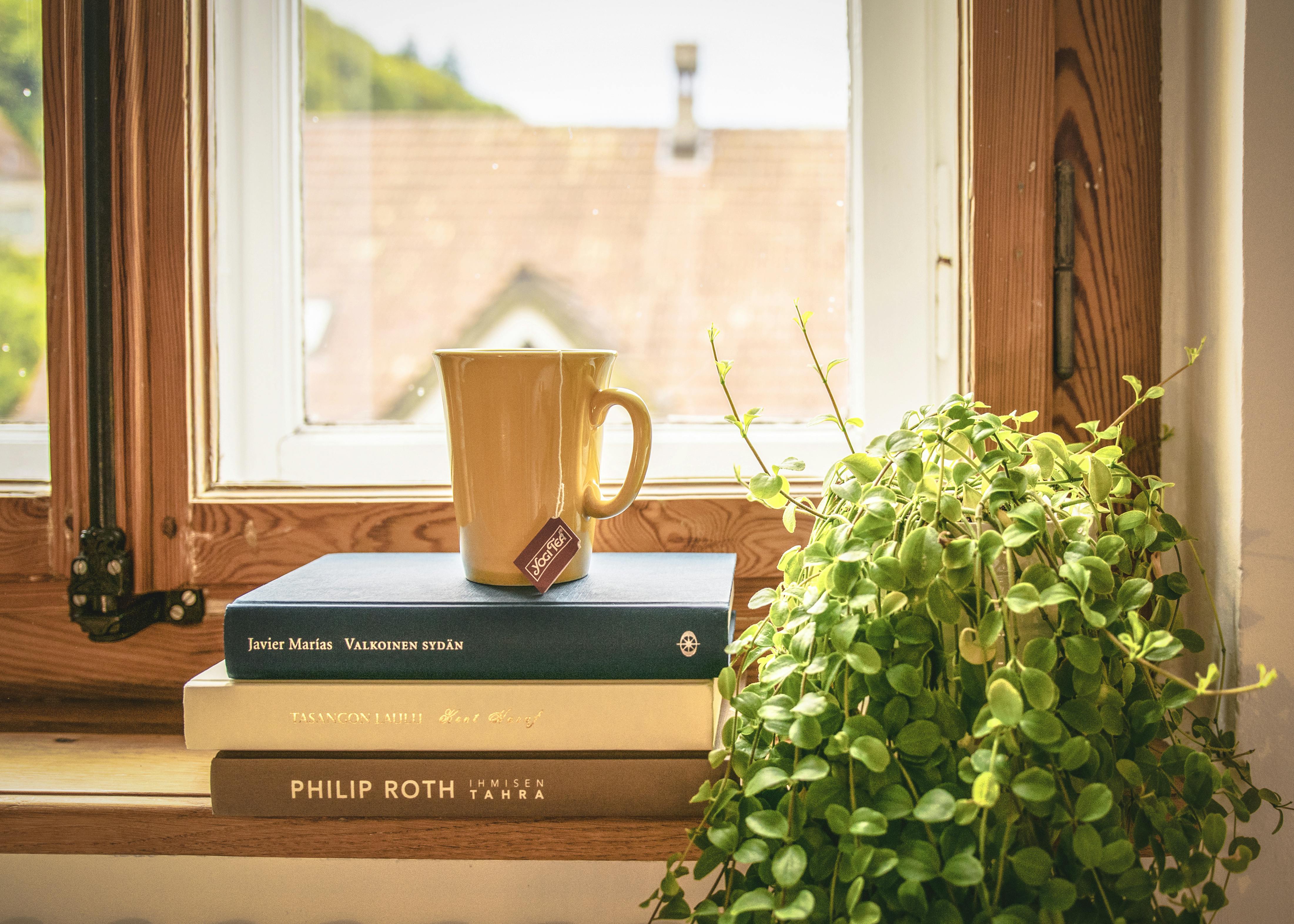Cup of tea by window